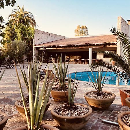 Maria & Bernardo Casa - Vinedo Bed & Breakfast El Coyote Ngoại thất bức ảnh