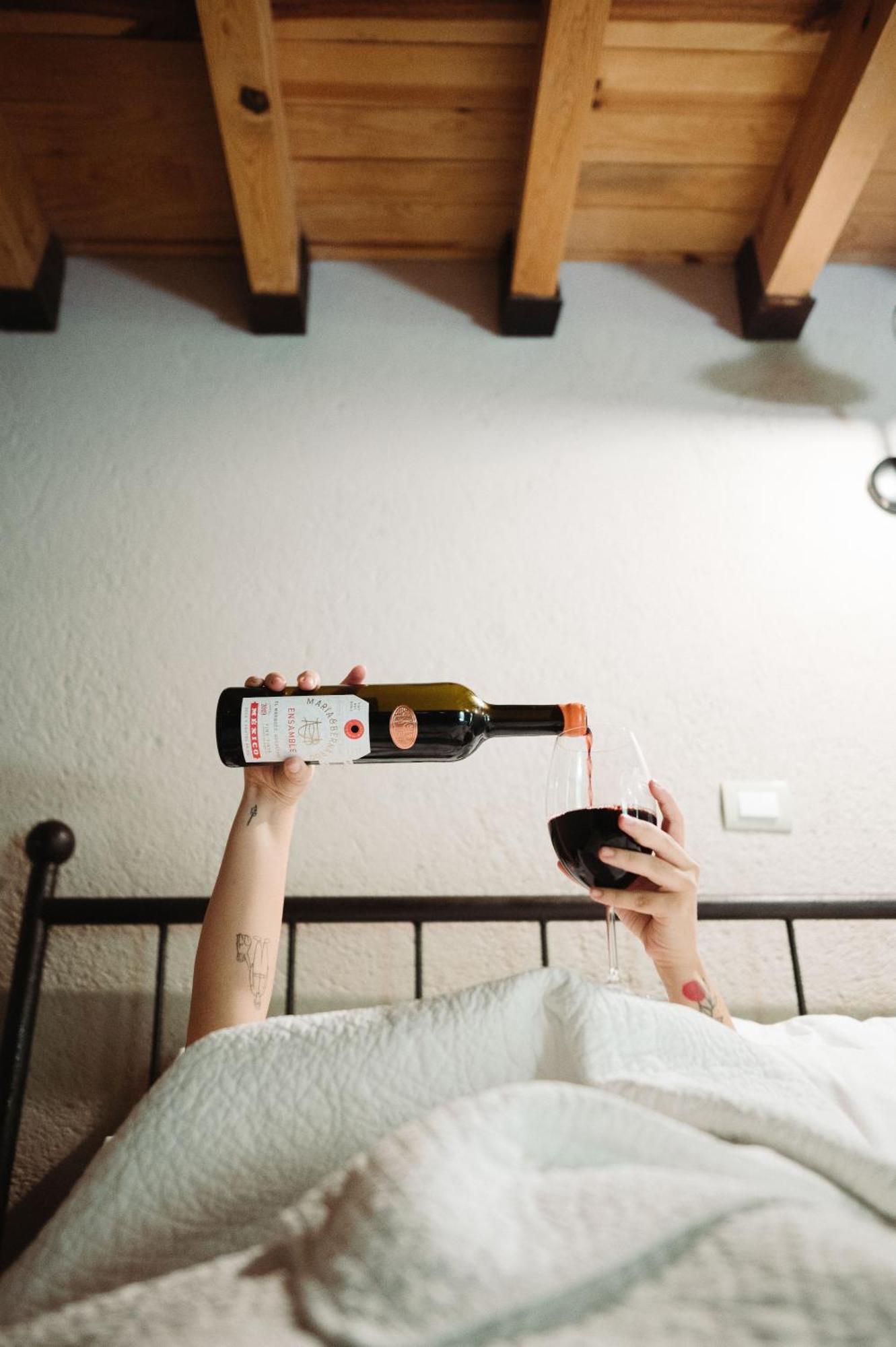 Maria & Bernardo Casa - Vinedo Bed & Breakfast El Coyote Ngoại thất bức ảnh
