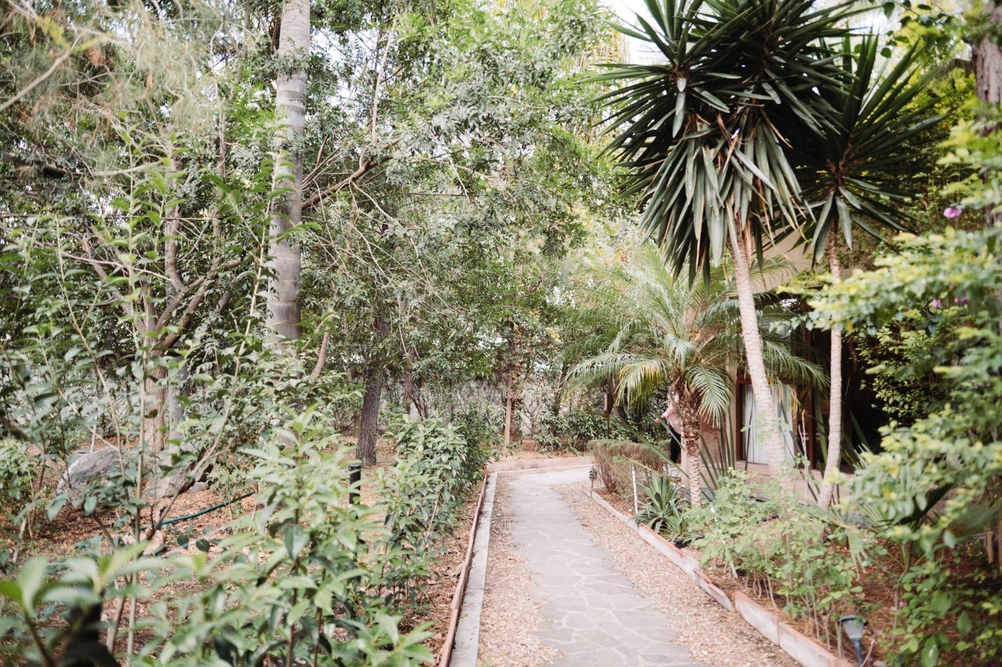 Maria & Bernardo Casa - Vinedo Bed & Breakfast El Coyote Ngoại thất bức ảnh